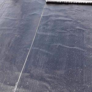 FB_IMG_1669187929720