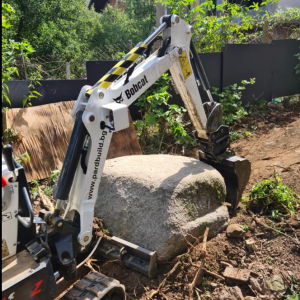 Озеленяване морени