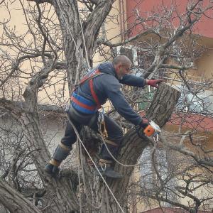 2697778_48046476_big (1)