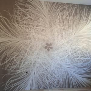 IMG_20221024_144938_1