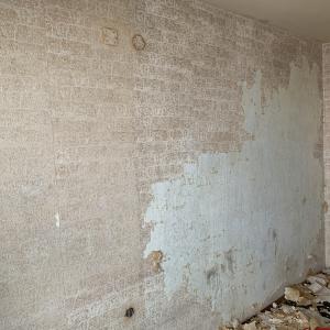 8544F654-0BD6-490B-864D-ABF7EE9D5BFE