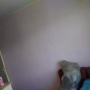 received_1573101379782882