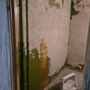 IMG-d591a82da94cb0cb0cc9335d056daa38-V