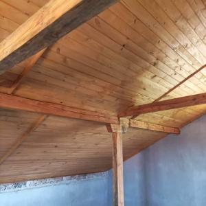 FB_IMG_1680083647320