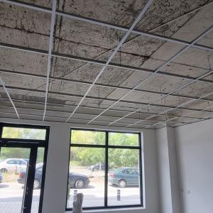 viber_изображение_2023-03-21_12-54-13-139