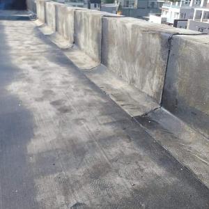 FB_IMG_1680850390845