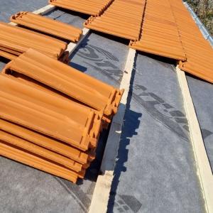 IMG-ea9493ffa45e0a3c35d2ce507b46923b-V