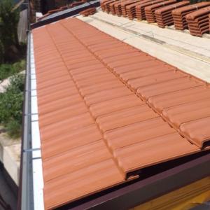 FB_IMG_1683104189396