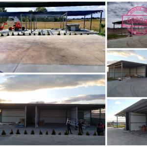 Collage_20230412_211830_edit_75357234034220