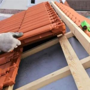 FB_IMG_1680101424148