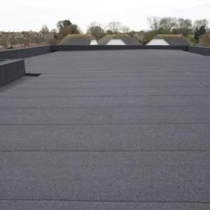 FB_IMG_1683104229704