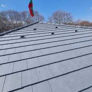 IMG-baf1331cd6754fb6bce15418d87a0690-V