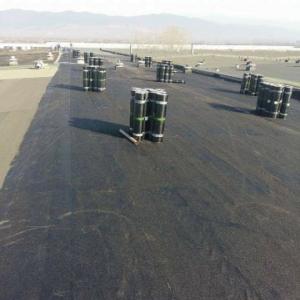 received_261973189197697