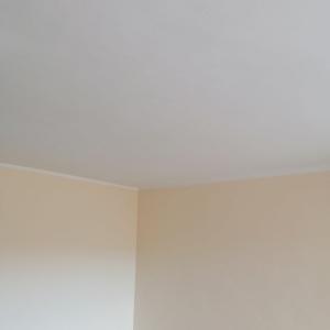 viber_изображение_2023-08-10_20-40-34-719