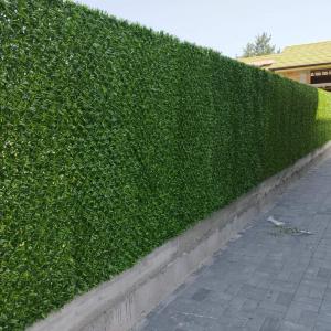 FB_IMG_1691676075425