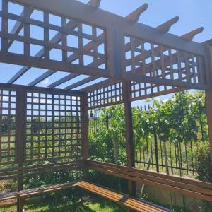 292805705_5548563275196159_1484065471801318258_n