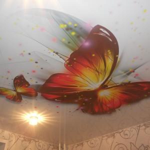 -один-вариант-натяжного-потолка-с-прекрасными-нежными-бабочками-700x525