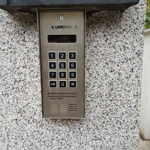 IMG_20231121_130505406