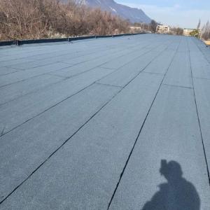 FB_IMG_1692625194999