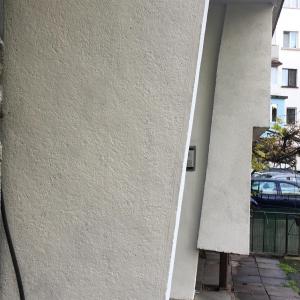 419462361_1290201154980867_7722195321057938589_n