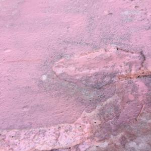 414619741_399736586049341_8859812444963118876_n