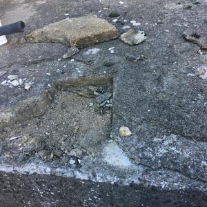 419688457_342295032122381_384324833988057017_n