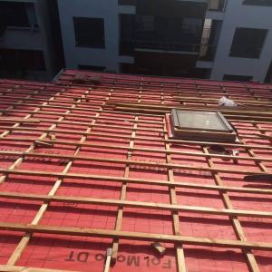 received_5099434156834980