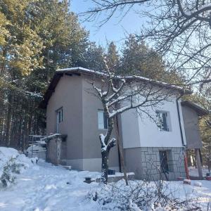 Обект 6 (7).jpg