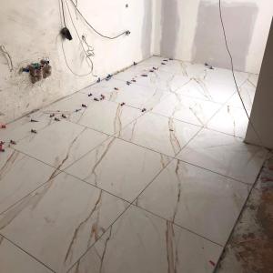 339803578_239096275169273_1864053435561758992_n