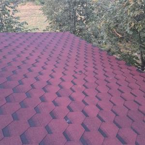 FB_IMG_1712443407342