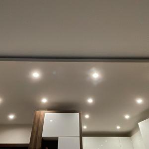 Таван с лунички