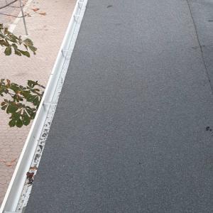 IMG-47caa932bd98e9e059d223de522464af-V