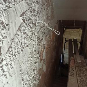 IMG-68d5295c31d8057c7986a78d7a4d0c4b-V