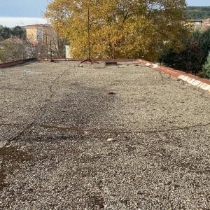 Messenger_creation_94203FA0-8E74-48C7-B238-7F8158F9C6EA