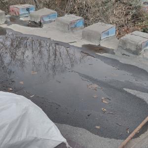 IMG_20241212_130156_HDR