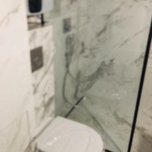 Тоалетна чиния