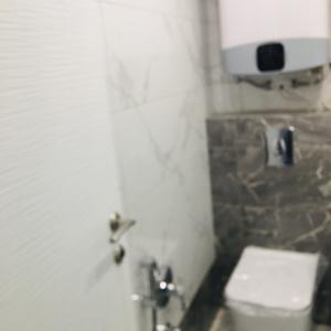 Тоалетна чиния