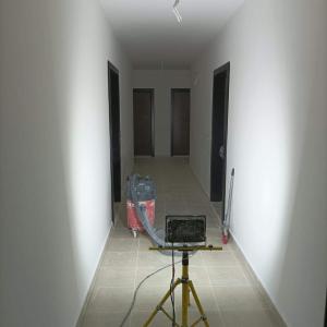 Боядисване