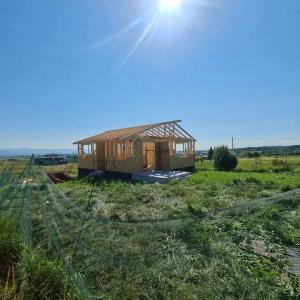 FB_IMG_1738013405496