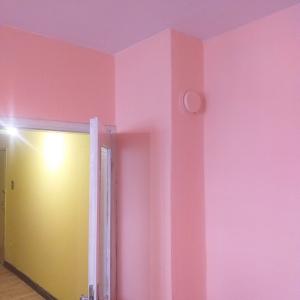 Бояджийски услуги