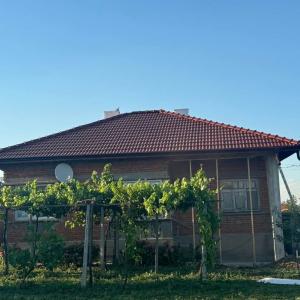 FB_IMG_1743719664700