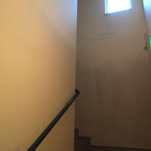 viber_изображение_2025-03-13_15-20-51-060