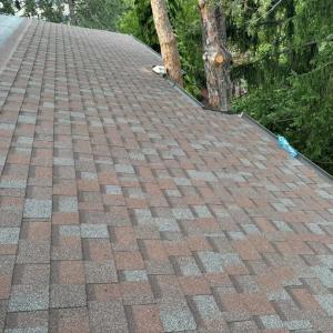 FB_IMG_1743719735474