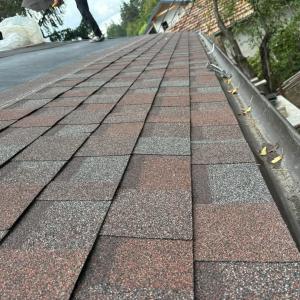 FB_IMG_1743719739319