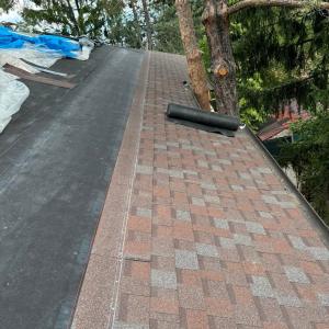 FB_IMG_1743719733562