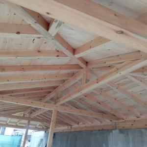 FB_IMG_1741805065866