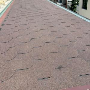 FB_IMG_1743719710493