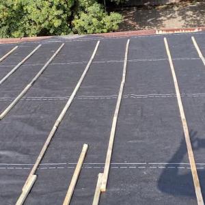 FB_IMG_1744050351620