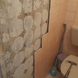 FB_IMG_1744884002778