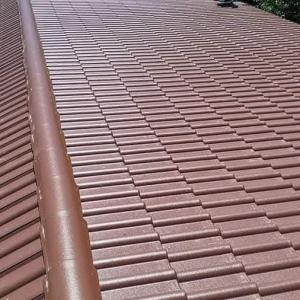 FB_IMG_1744050321870